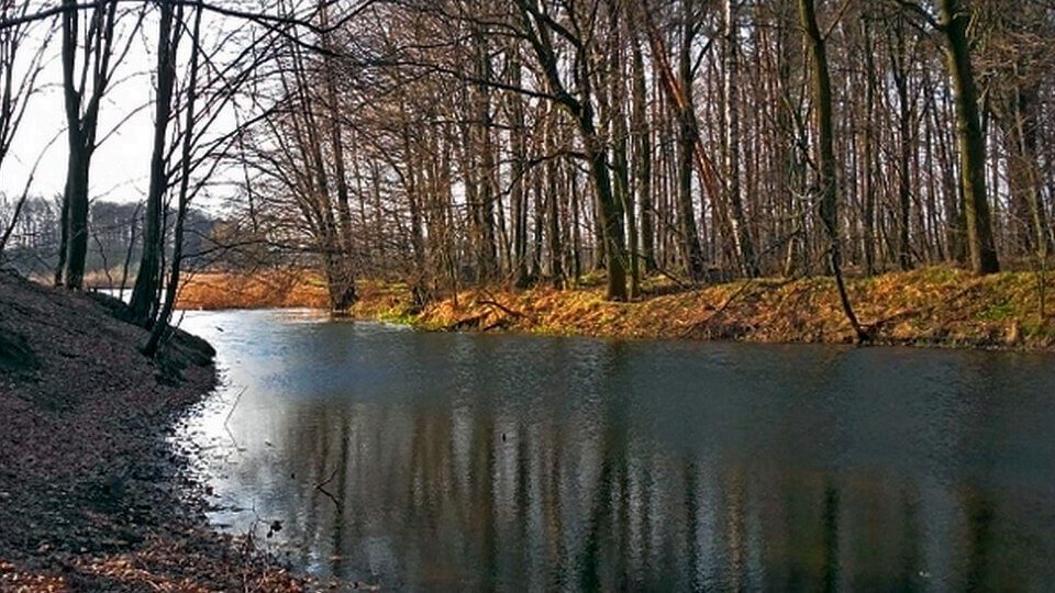 Pstrążna Wyspa