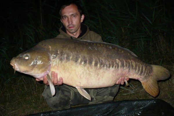 karp Pstrążna