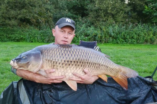karp 24,56 kg